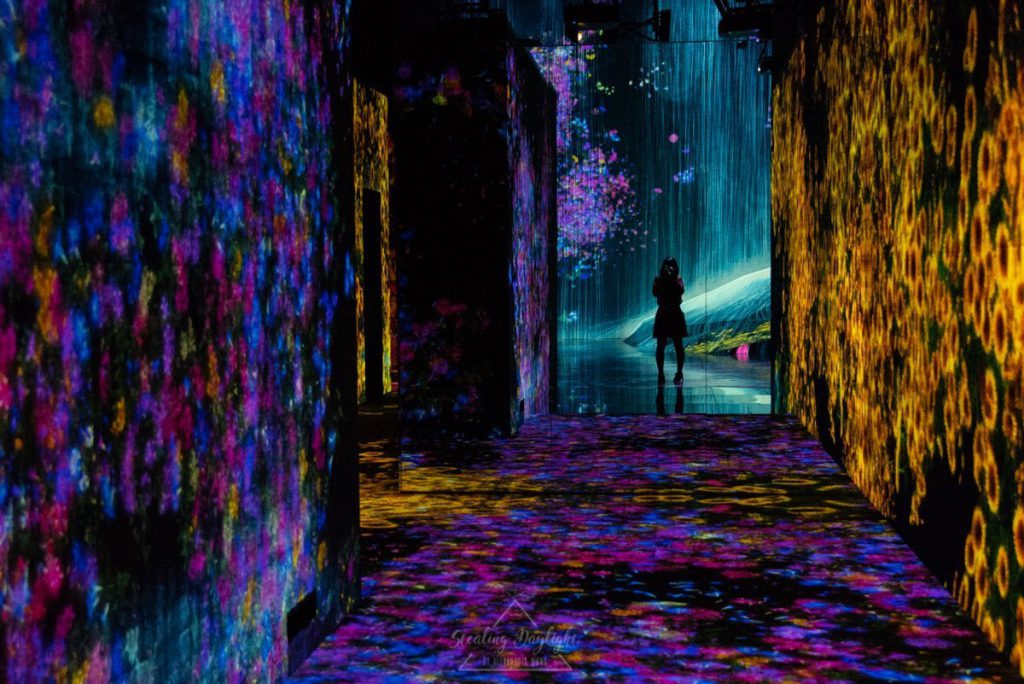 東京 台場 teamLab Borderless A Rock where People Gather